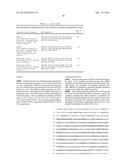 Reengineering mRNA Primary Structure for Enhanced Protein Production diagram and image