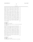 Reengineering mRNA Primary Structure for Enhanced Protein Production diagram and image