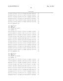 Reengineering mRNA Primary Structure for Enhanced Protein Production diagram and image