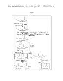 BACTERIAL PRODUCTION OF METHYL KETONES diagram and image