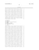 GENETICALLY MODIFIED CLOSTRIDIUM THERMOCELLUM ENGINEERED TO FERMENT XYLOSE diagram and image