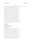 GENETICALLY MODIFIED CLOSTRIDIUM THERMOCELLUM ENGINEERED TO FERMENT XYLOSE diagram and image