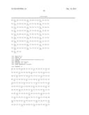 GENETICALLY MODIFIED CLOSTRIDIUM THERMOCELLUM ENGINEERED TO FERMENT XYLOSE diagram and image