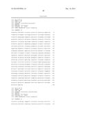 GENETICALLY MODIFIED CLOSTRIDIUM THERMOCELLUM ENGINEERED TO FERMENT XYLOSE diagram and image