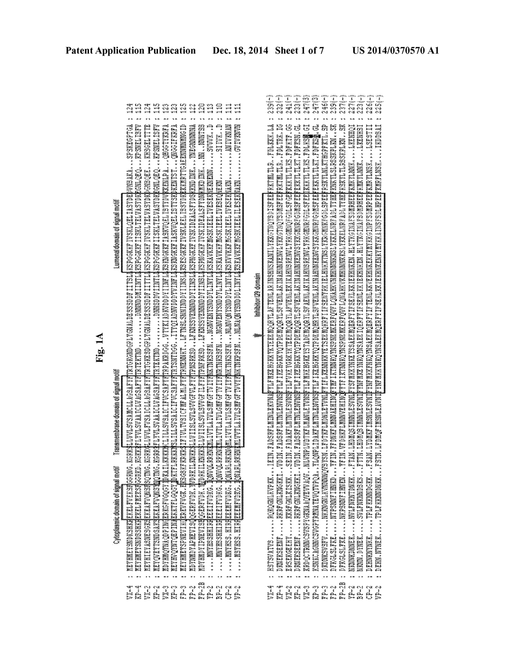 Use of a cysteine protease of Plasmodium vivax - diagram, schematic, and image 02