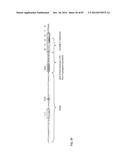 GENETICALLY ENHANCED CYANOBACTERIA FOR THE PRODUCTION OF A FIRST CHEMICAL     COMPOUND HARBOURING ZN2+, CO2+ OR NI2+ -INDUCIBLE PROMOTERS diagram and image