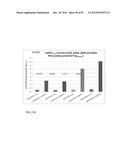 GENETICALLY ENHANCED CYANOBACTERIA FOR THE PRODUCTION OF A FIRST CHEMICAL     COMPOUND HARBOURING ZN2+, CO2+ OR NI2+ -INDUCIBLE PROMOTERS diagram and image