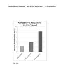 GENETICALLY ENHANCED CYANOBACTERIA FOR THE PRODUCTION OF A FIRST CHEMICAL     COMPOUND HARBOURING ZN2+, CO2+ OR NI2+ -INDUCIBLE PROMOTERS diagram and image