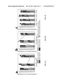 BIOLOGICAL CONVERSION OF BIOMASS-DERIVED SUGARS TO VALUE ADDED CHEMICALS diagram and image