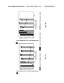 BIOLOGICAL CONVERSION OF BIOMASS-DERIVED SUGARS TO VALUE ADDED CHEMICALS diagram and image