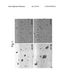 MULTIMER TYPE DISCRIMINATION AND DETECTION METHOD FOR MULTIMER-FORMING     POLYPEPTIDE diagram and image