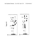 PROCESS AND APPARATUS FOR QUANTIFYING NUCLEIC ACID IN A SAMPLE diagram and image