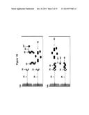 PROCESS AND APPARATUS FOR QUANTIFYING NUCLEIC ACID IN A SAMPLE diagram and image