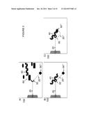 PROCESS AND APPARATUS FOR QUANTIFYING NUCLEIC ACID IN A SAMPLE diagram and image