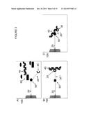 PROCESS AND APPARATUS FOR QUANTIFYING NUCLEIC ACID IN A SAMPLE diagram and image