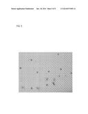 METHOD AND KIT FOR DETERMINING- ANTIBODY SENSITIVITY AND CLONE CELL STRAIN diagram and image