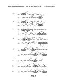 GROWTH HORMONE POLYPEPTIDES AND METHODS OF MAKING AND USING SAME diagram and image