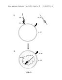 GROWTH HORMONE POLYPEPTIDES AND METHODS OF MAKING AND USING SAME diagram and image