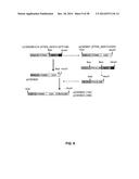 GROWTH HORMONE POLYPEPTIDES AND METHODS OF MAKING AND USING SAME diagram and image