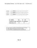 GROWTH HORMONE POLYPEPTIDES AND METHODS OF MAKING AND USING SAME diagram and image