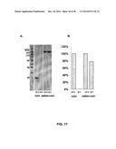 GROWTH HORMONE POLYPEPTIDES AND METHODS OF MAKING AND USING SAME diagram and image