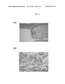 SCAFFOLD FOR VASCULAR ENDOTHELIAL CELL MIGRATION diagram and image