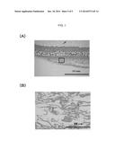 SCAFFOLD FOR VASCULAR ENDOTHELIAL CELL MIGRATION diagram and image