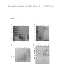 Glycoprotein Hormone Long-Acting Superagonists diagram and image