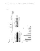 AMYLOID BETA-PROTEIN-SPECIFIC PRODUCTION-INHIBITING POLYPEPTIDE diagram and image