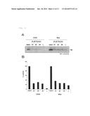 AMYLOID BETA-PROTEIN-SPECIFIC PRODUCTION-INHIBITING POLYPEPTIDE diagram and image