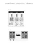 ALPHA-FORM ZINC-PHTHALOCYANINE NANOWIRES HAVING ENHANCED WATER SOLUBILITY     AND WATER DISPERSIBILITY, COMPOSITE OF AN ALPHA-FORM ZINC-PHTHALOCYANINE     NANOWIRE/PHENOTHIAZINE, AND METHOD FOR PREPARING SAME diagram and image