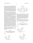 TRIAZOLE COMPOUNDS THAT MODULATE HSP90 ACTIVITY diagram and image