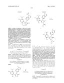 TRIAZOLE COMPOUNDS THAT MODULATE HSP90 ACTIVITY diagram and image