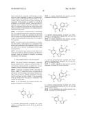 TRIAZOLE COMPOUNDS THAT MODULATE HSP90 ACTIVITY diagram and image