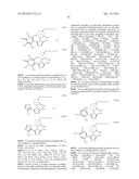 TRIAZOLE COMPOUNDS THAT MODULATE HSP90 ACTIVITY diagram and image