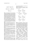 TRIAZOLE COMPOUNDS THAT MODULATE HSP90 ACTIVITY diagram and image