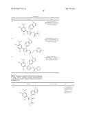 TRIAZOLE COMPOUNDS THAT MODULATE HSP90 ACTIVITY diagram and image