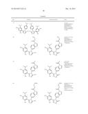 TRIAZOLE COMPOUNDS THAT MODULATE HSP90 ACTIVITY diagram and image