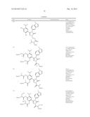 TRIAZOLE COMPOUNDS THAT MODULATE HSP90 ACTIVITY diagram and image