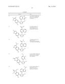 TRIAZOLE COMPOUNDS THAT MODULATE HSP90 ACTIVITY diagram and image