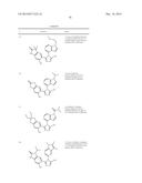 TRIAZOLE COMPOUNDS THAT MODULATE HSP90 ACTIVITY diagram and image