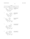 TRIAZOLE COMPOUNDS THAT MODULATE HSP90 ACTIVITY diagram and image