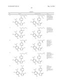 TRIAZOLE COMPOUNDS THAT MODULATE HSP90 ACTIVITY diagram and image