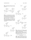 TRIAZOLE COMPOUNDS THAT MODULATE HSP90 ACTIVITY diagram and image