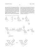 TRIAZOLE COMPOUNDS THAT MODULATE HSP90 ACTIVITY diagram and image