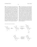 TRIAZOLE COMPOUNDS THAT MODULATE HSP90 ACTIVITY diagram and image