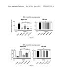 NEW THERAPEUTIC APPROACHES FOR TREATING PARKINSON S DISEASE diagram and image