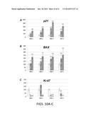 p19Arf, HMGA2 and MDM2 For Use in the Diagnosis and Treatment of Aberrant     Cell Growth diagram and image