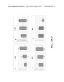 p19Arf, HMGA2 and MDM2 For Use in the Diagnosis and Treatment of Aberrant     Cell Growth diagram and image