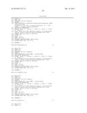 p19Arf, HMGA2 and MDM2 For Use in the Diagnosis and Treatment of Aberrant     Cell Growth diagram and image